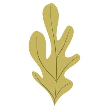 Hand Drawn Flat Doodle Leaf. Nature Green Leaf Design Element. Illustration