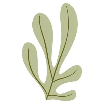 Hand Drawn Flat Doodle Leaf. Nature Green Leaf Design Element. Stock Illustration