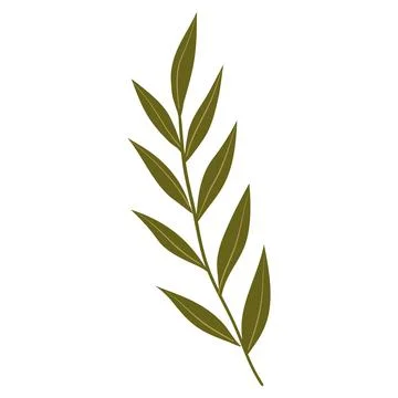 Hand Drawn Flat Doodle Leaf. Nature Green Leaf Design Element. Stock Illustration