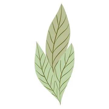 Hand Drawn Flat Doodle Leaf. Nature Green Leaf Design Element. Stock Illustration