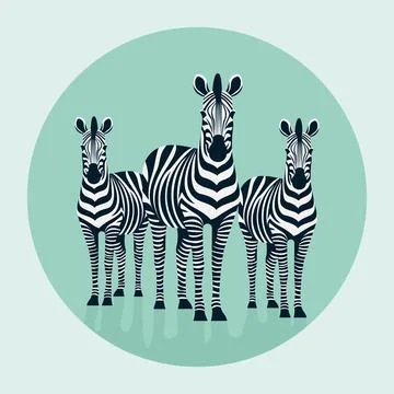 Hand drawn flat zebras vector illustration Stock Illustration