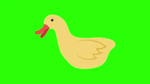 Hand Drawn Floating Simple Cartoon Duck Animation Green Screen Stock Footage 336849740