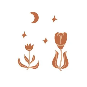 Hand drawn floral boho elements - flowers and moon, stars Stockillustratie