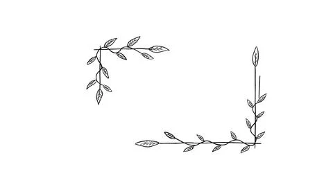 Hand drawn floral corner borders minimal line art 스톡 일러스트