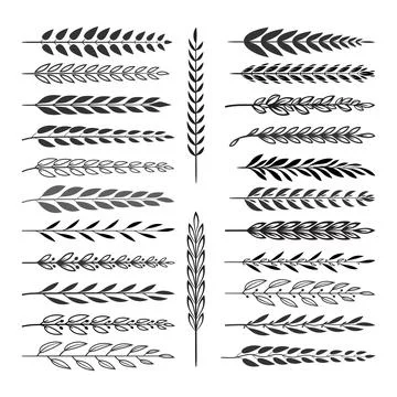 Hand drawn floral decoration elements Stock Illustration