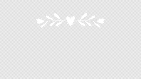 Hand drawn floral doodle divider with heart and leaves minimal white outline vig Stock Footage 337524128