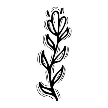 Hand drawn floral element. Decorative element for your design. Sketch of br.. Stock Illustration
