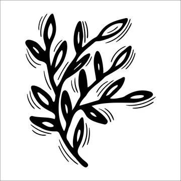 Hand drawn floral element. Sketch of branch with leaves. Decorative element.. Stock Illustration