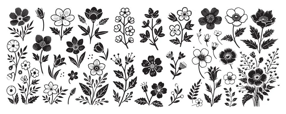 Hand drawn floral elements collection with black and white botanical flower Stock Illustration