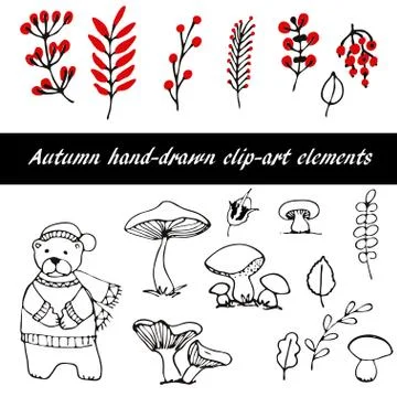 Hand Drawn floral elements set 库存插图