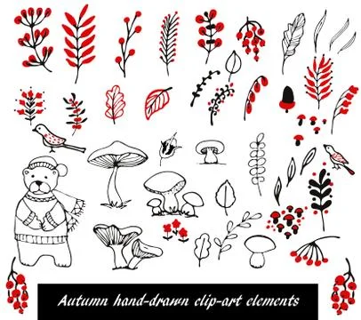 Hand Drawn floral elements set Stock Illustration