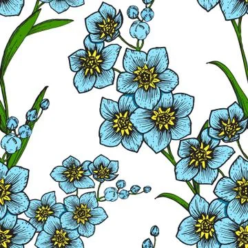 Hand drawn floral pattern Stock Illustration