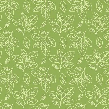 Hand drawn floral pattern vector design. Simple ornament with plant and leaf. イラスト素材