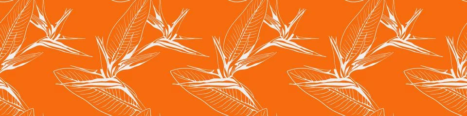 Hand drawn floral pattern vector design. Flower drawing simple ornament. Stockillustratie