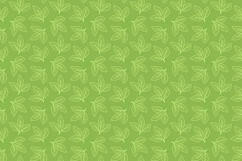 Hand drawn floral pattern vector design. Simple ornament with plant and leaf. Stock Illustration