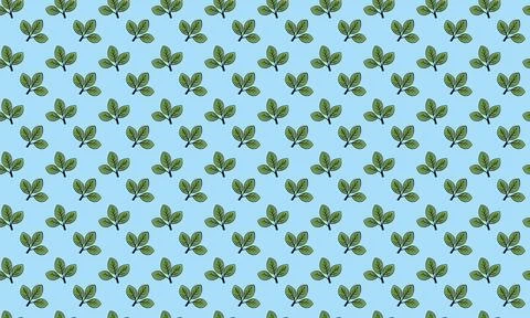 Hand drawn floral pattern vector design. Simple ornament with plant and leaf. Stock Illustration