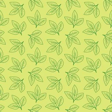 Hand drawn floral pattern vector design. Simple ornament with plant and leaf. Stock Illustration