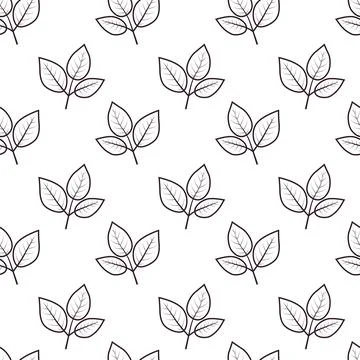 Hand drawn floral pattern vector design. Simple ornament with plant and leaf. Stock Illustration
