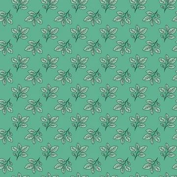 Hand drawn floral pattern vector design. Simple ornament with plant and leaf. Illustrazione stock