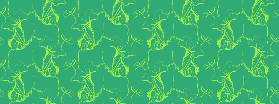 Hand drawn floral pattern vector design. Flower drawing simple ornament. Stockillustratie