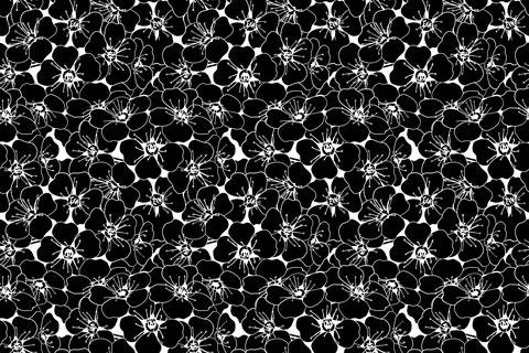 Hand drawn floral pattern vector design. Flower drawing simple ornament. Stock Illustration