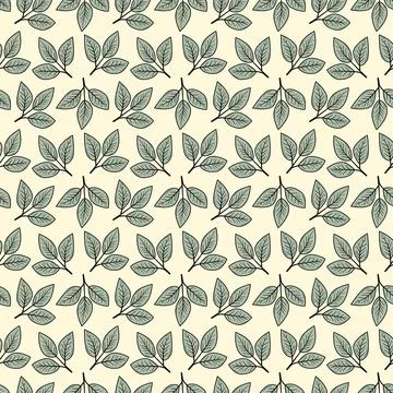 Hand drawn floral pattern vector design. Simple ornament with plant and leaf. Stock Illustration