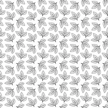 Hand drawn floral pattern vector design. Simple ornament with plant and leaf. Stock Illustration