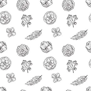 Hand drawn floral seamless pattern. Black and white.Vector illustration. Stock Illustration