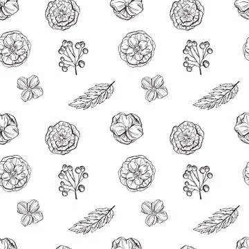 Hand drawn floral seamless pattern. Black and white. Vector illustration. Stock Illustration
