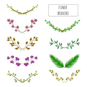 Hand drawn floral set of branches. Stock Illustration