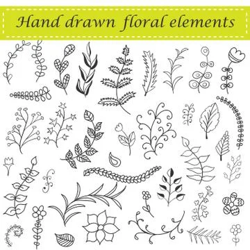 Hand drawn floral set Stock Illustration