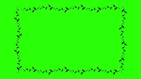 Hand Drawn Floral Shaky Border Frame 02 Stock Footage 318595842