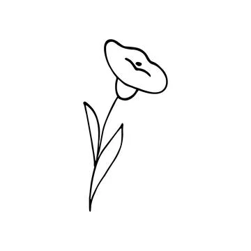 Hand-drawn floral vector illustration. Vector botanical illustration isolat.. Stock Illustration