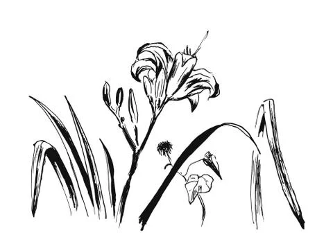 Hand-drawn flower background Stock Illustration