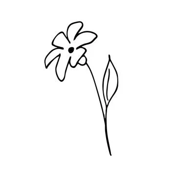 Hand-drawn flower branch herb, minimalist flower with leaves. Botanical gre.. Stock Illustration