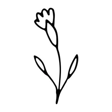 Hand drawn flower doodle Stock Illustration