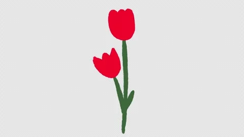 Hand Drawn Flower Growing Animation | Blooming Plant Growth Stock Footage 329939987