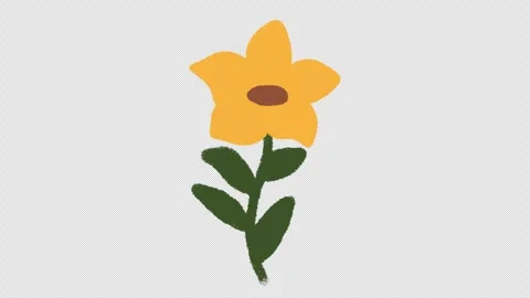 Hand Drawn Flower Growing Animation | Blooming Plant Growth Stock-Footage 329940349