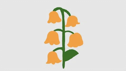 Hand Drawn Flower Growing Animation | Blooming Plant Growth Stock-Footage 329940357