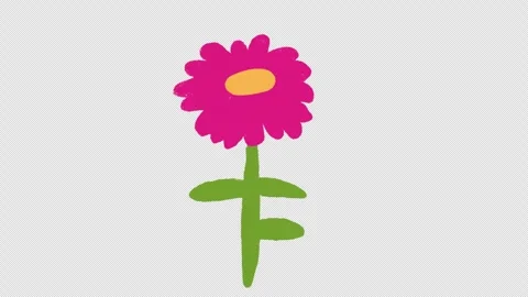 Hand Drawn Flower Growing Animation | Blooming Plant Growth Stock-Footage 329940514
