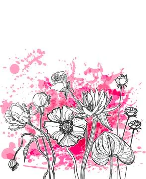Hand drawn flower line vector pink paint Stock Illustration