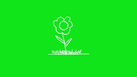 Hand drawn flower looping animation on green background Stock Footage 340084389