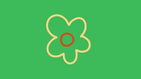 Hand-Drawn Flower Outline 2D Animation | Simple Floral Line Motion Overlay Video stock 333046253