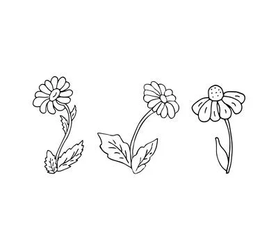 Hand-drawn flowers Stock Illustration