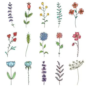 Hand drawn flowers Stock Illustration