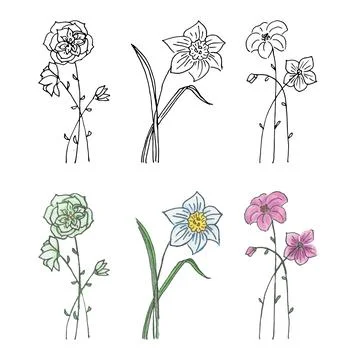 Hand drawn flowers Illustrazione stock