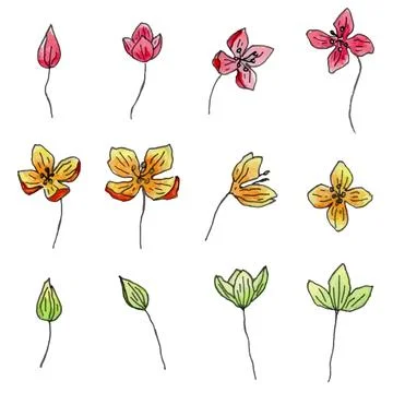 Hand drawn flowers Illustrazione stock