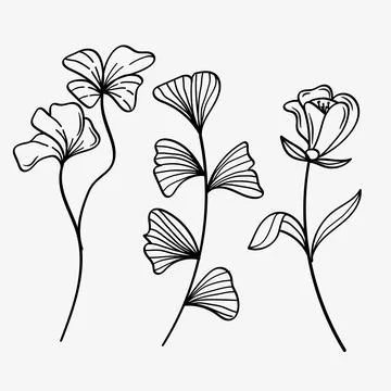 Hand drawn flowers minimal elements in line art style. Greenery for decorat.. Stock Illustration
