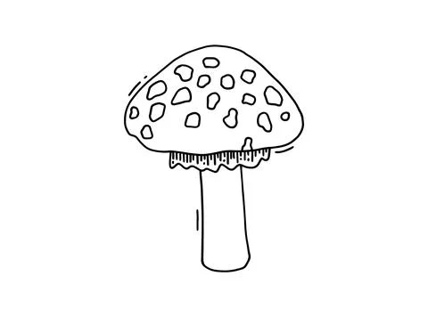 Hand drawn fly-agaric doodle icon. Amanita mushroom. Poisonous toadstool fly  스톡 일러스트