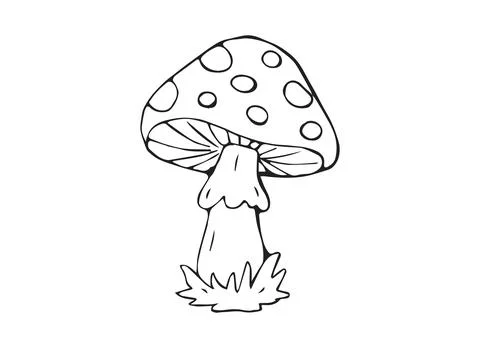 Hand Drawn Fly Agaric Mushroom with Spotted Cap Line Art Doodle Illustratio.. Stock Illustration